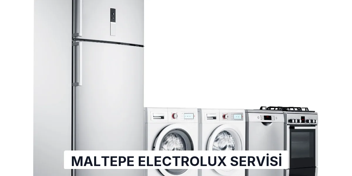 Maltepe Electrolux Servisi