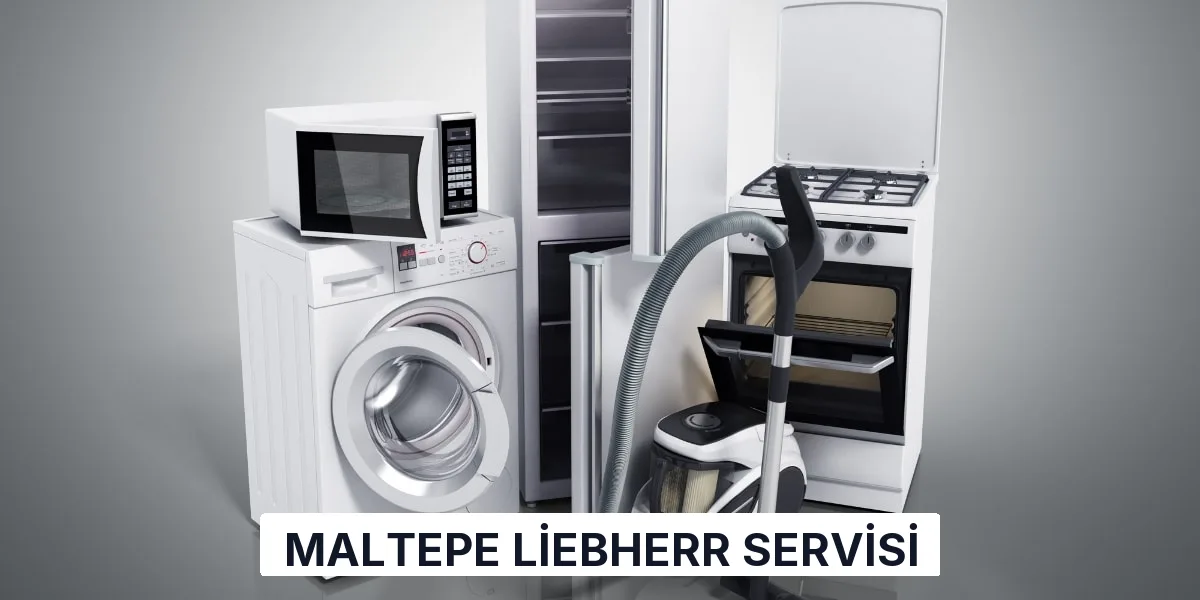 Maltepe Liebherr Servisi